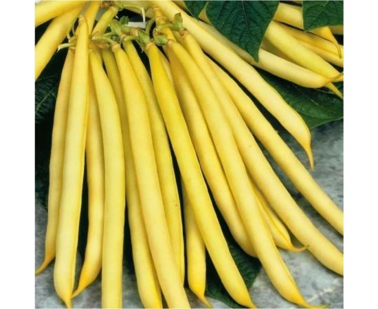 Фасоль ГАВРИШ Водопад желтый 5.0 г Н19 1999949857 – изображение 2