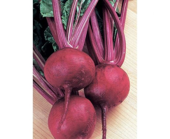 Семена Гавриш Свекла Червона Кула, Красный шар, 3.0 г 628 – изображение 2