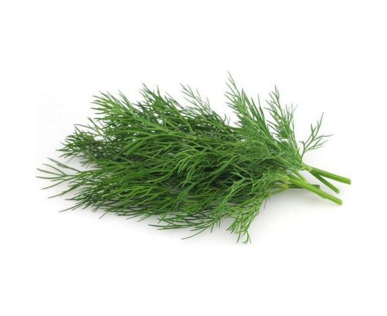 Семена Гавриш Укроп Кибрай 3.0 г 193 – изображение 2