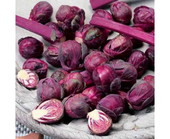 Семена ГАВРИШ Капуста брюссельская Гранатовый браслет F1 0.1 г 2002195 – изображение 3