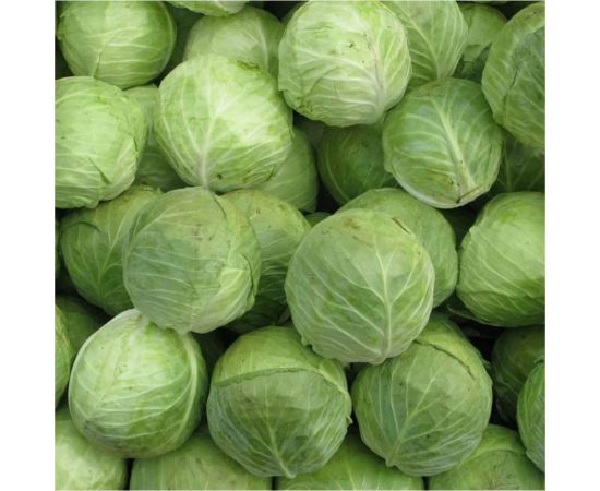 Семена Гавриш Капуста белокочанная Бабушкин разносол, 0,1 г, для квашения 1071856463 – изображение 3