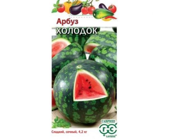 Арбуз ГАВРИШ Холодок 1.0 г 10005191 