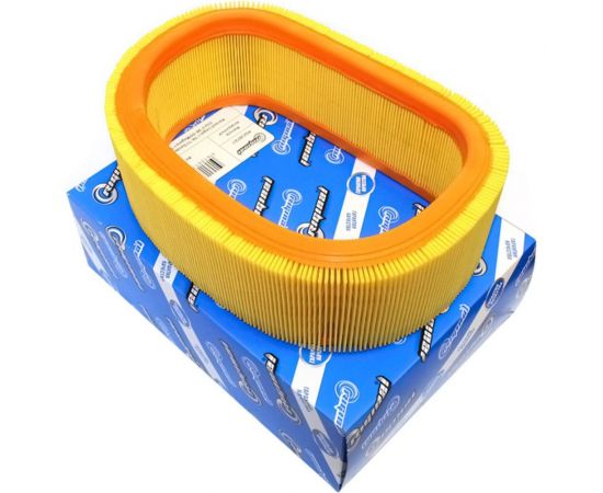 Фильтр воздушный для а/м Renault Logan I 04-11, Sandero 08-11, Clio II 98-05, Lada Largus Riginal RGC26721 