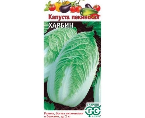 Капуста ГАВРИШ пекинская Харбин 0,3 г 1911499 