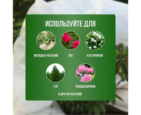 Укрытие для молодых деревьев на зиму ГеоПластБорд прекрасный сад 120x250 см, белое УБ-00004890 – изображение 11