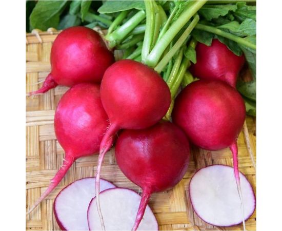Семена ГАВРИШ Редис Дуро Краснодарское 3 г 1912236320 – изображение 2
