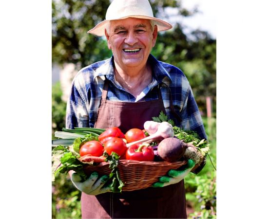 Грунт Сила Суздаля Томат и Перец 10 л 4680004060079 – изображение 4