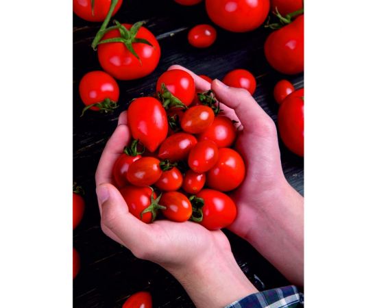 Грунт Сила Суздаля Томат и Перец 10 л 4680004060079 – изображение 5