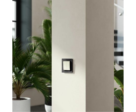 Перекрестный двухклавишный переключатель WERKEL слоновая кость a058434 – изображение 2