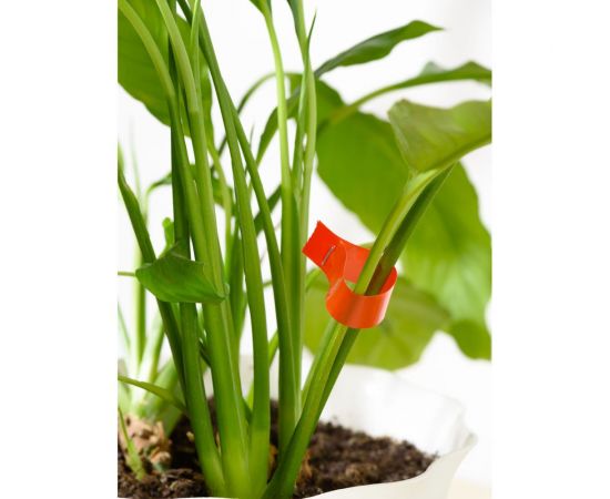 Садовый тапенер для подвязки растений BIRD HOUSE 10 лент, 10 000 скоб, ремкомплект, G0652 – изображение 5