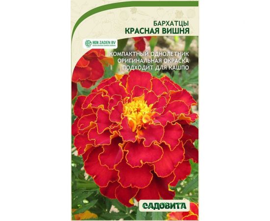 Семена Садовита Бархатцы Красная вишня 0.3 г 00208010 
