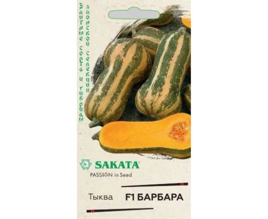 Тыква ГАВРИШ Барбара, мускатная 5 шт.Саката 1912236347 