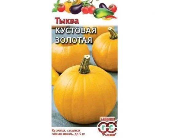 Семена ГАВРИШ Тыква Кустовая золотая 1 г 1999943644 