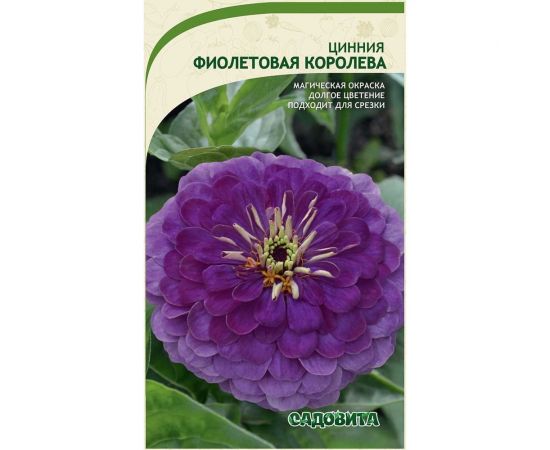 Семена Садовита Циния Фиолетовая королева 0.4 г 00222872 