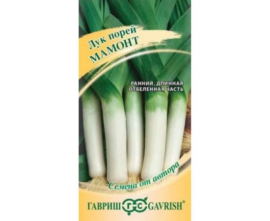 Семена ГАВРИШ Лук порей Мамонт 0.2 г, авторские 1071856565 