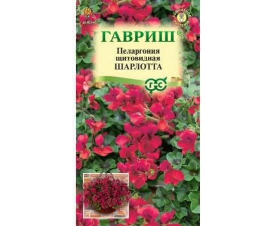 Семена ГАВРИШ Пеларгония Шарлотта, ампельная 3 шт. 107185021 