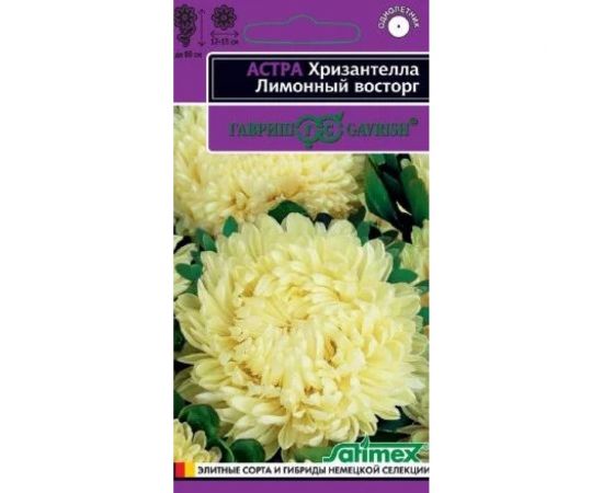 Астра ГАВРИШ Хризантелла Лимонный восторг (хризантемовидная) 0,05 г 1070008061 