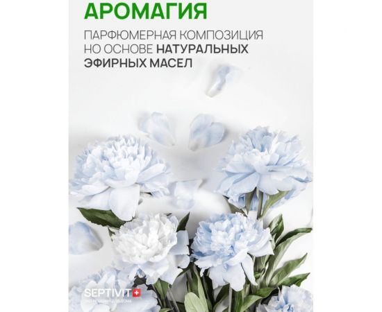 Кондиционер для белья SEPTIVIT ""Полярный пион"", 5л 149_5 – изображение 5