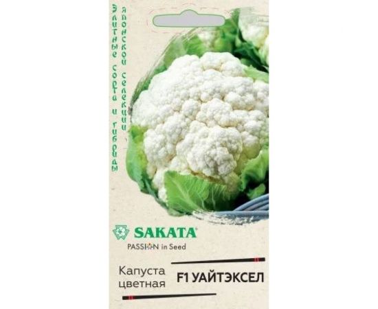 Капуста цветная ГАВРИШ Уайтэксел 10 шт. Саката 1071856541 