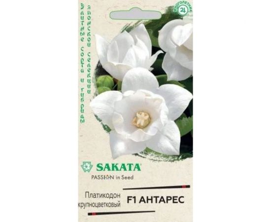Семена ГАВРИШ Ширококолокольчик крупноцветковый Платикодон Антарес F1, 4 шт Саката серия Эксклюзив 1071858326 