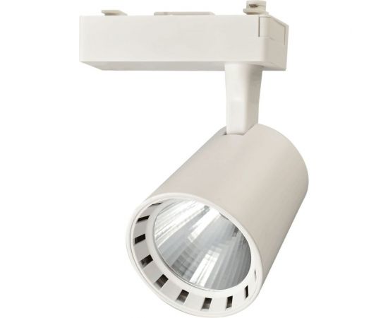 Прожектор Jazzway PTR 0330 30w 4000K 24гр. WH белый IP40 5010598 