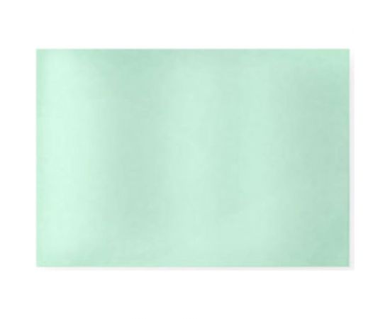 Пластина поликарбонатная 94х43х1 мм (внутреннее стекло к маске PERSEY) AWT 536203 