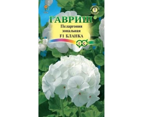 Пеларгония ГАВРИШ Бланка зональная 4 шт. 4602052 