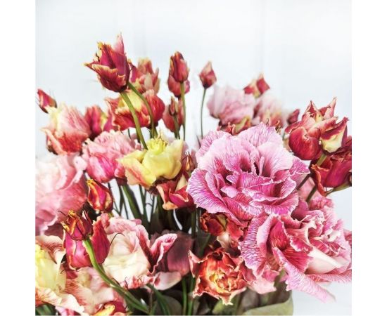 Семена Гавриш Эустома Фалда F1 крупноцвет. 4 шт. гранул. пробирка 1070008180 – изображение 2