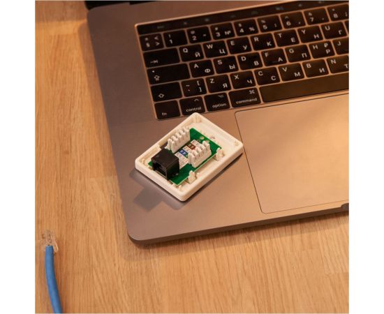 Компьютерная розетка Rexant -1 RJ-45, CAT5e 03-0121 – изображение 3