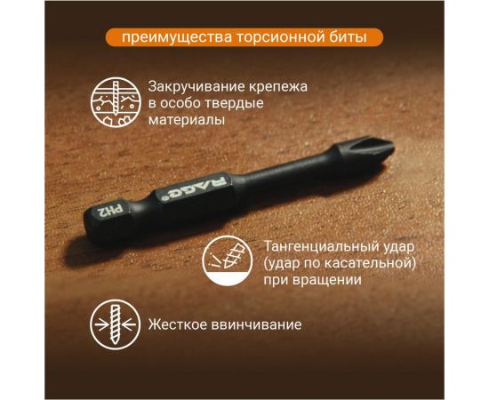 Биты торсионные S2, PH2, 50 мм, 10 шт rage by VIRA 554123 – изображение 9