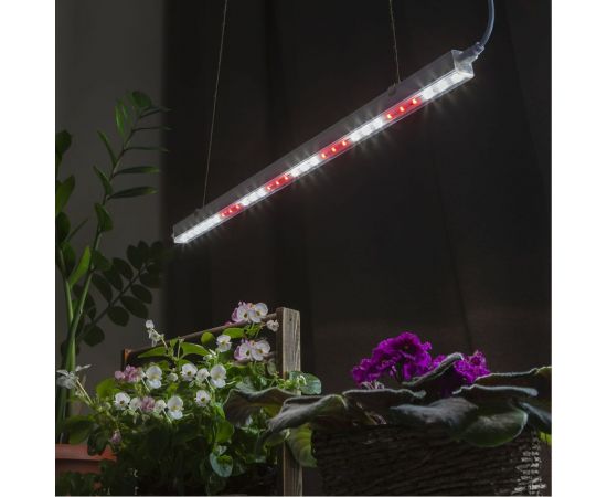 Линейный светильник полного спектра ЭРА FITO 9W T5 Ra90 Б0049311 – изображение 7