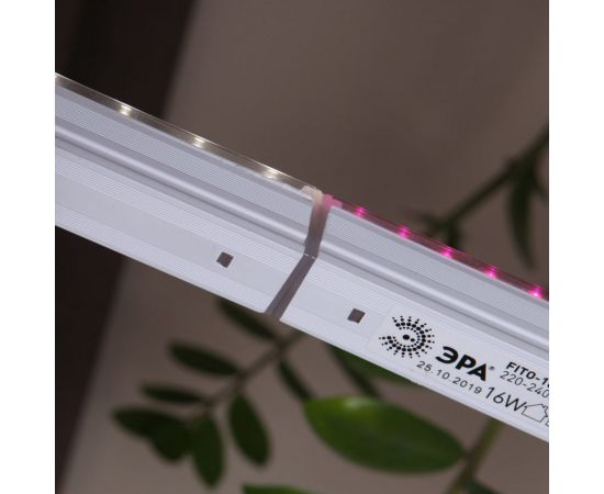 Линейный светильник полного спектра ЭРА FITO 9W T5 Ra90 Б0049311 – изображение 8
