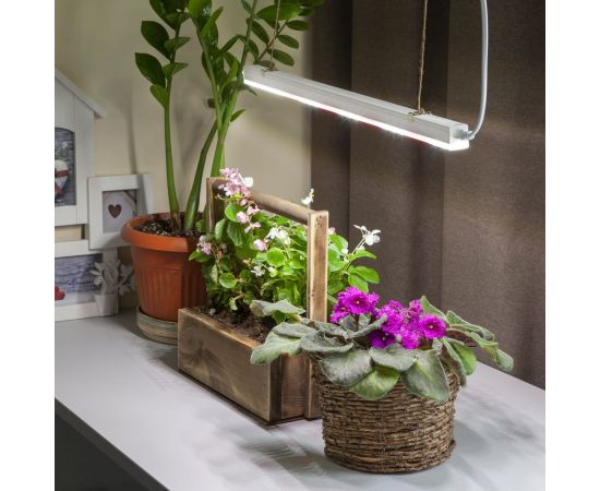 Линейный светильник полного спектра ЭРА FITO 9W T5 Ra90 Б0049311 – изображение 10