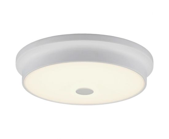 Настенно-потолочный светильник Citilux Фостер-2, белый CL706230 