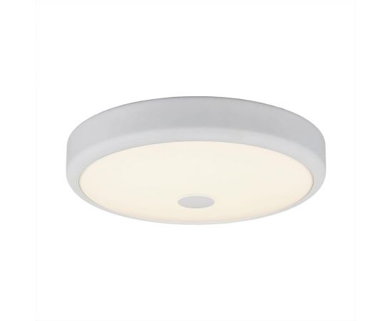 Настенно-потолочный светильник Citilux Фостер-1, белый CL706130 