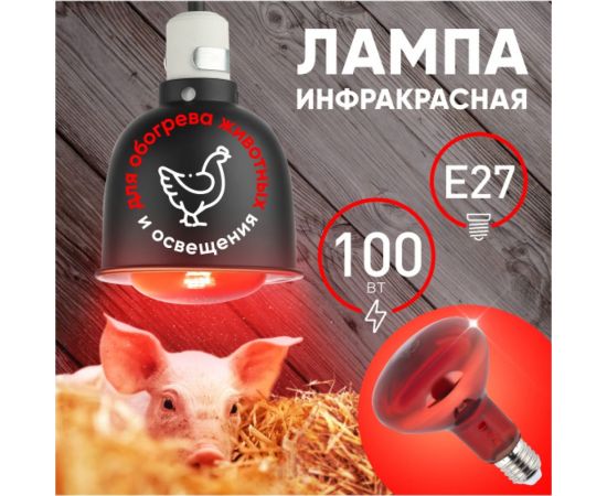 Инфракрасная лампа ЭРА ИКЗК 230100 R95 E27 E27 для обогрева животных и освещения 100 Вт Б0062000 – изображение 6