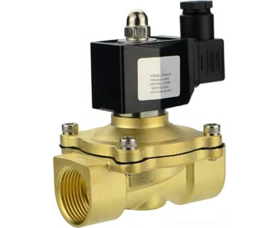 Электромагнитный клапан DN.ru двухходовый VS2W-300E-NC Ду20 Ру10 220В D130-01707 