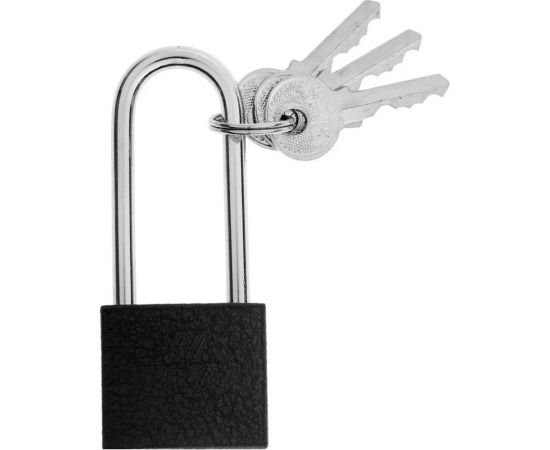 Навесной замок ТУНДРА основание 30 мм, длинная дужка, 3 ключа, подвес 9284051 – изображение 2