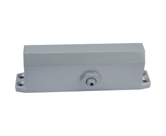 Дверной доводчик ZKTEco DC80120 00-00011189 – изображение 2