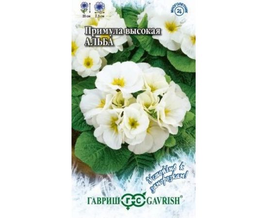 Семена ГАВРИШ Примула Альба, высокая 4 шт серия Устойчив к заморозкам! 1071854127 