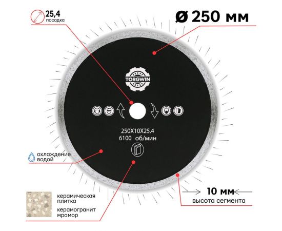 Диск алмазный 250х10х25.4х2.6 мм S.E.B. S72243 – изображение 2