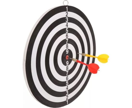 Дартс Наша Игрушка 29.5 см, двухсторонний, дротик-иголка 6 шт. 647015 – изображение 2