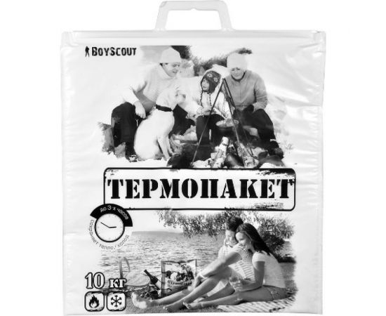 Термопакет BOYSCOUT, 42х45 см, пластиковая ручка, Мах нагрузка до 10 кг 61435 