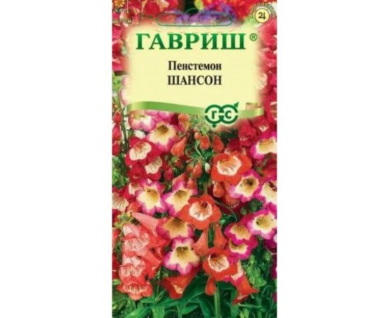 Пенстемон ГАВРИШ Хартвига Шансон наперстянковый, 0,1 г 19101997 