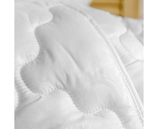 Одеяло Самойловский Текстиль 172x205 см гипоаллергенное 150 г/м2, белая ветка 762005 – изображение 3