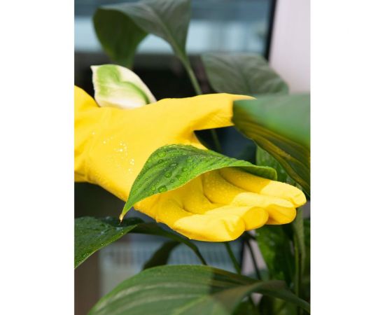 Хозяйственные латексные перчатки Home Queen/120/30, размер L, 77086 – изображение 7