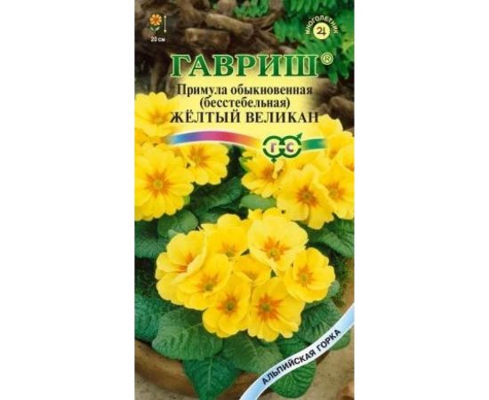 Примула ГАВРИШ Желтый Великан 10 шт. Альпийская горка 002387 