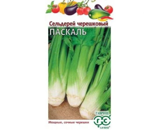 Семена ГАВРИШ Сельдерей черешковый Паскаль 0.1 г 1071856622 
