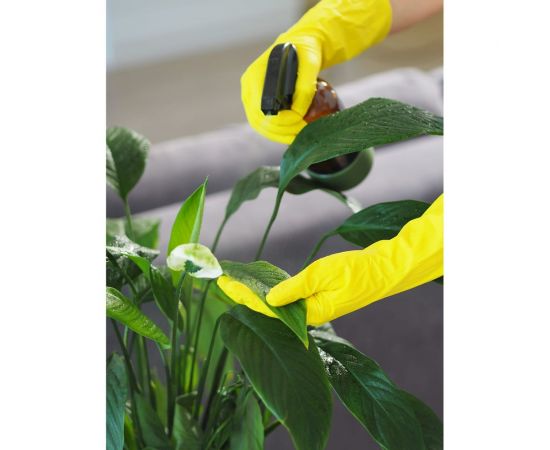 Хозяйственные латексные перчатки Home Queen/120/30, размер M 77085 – изображение 9