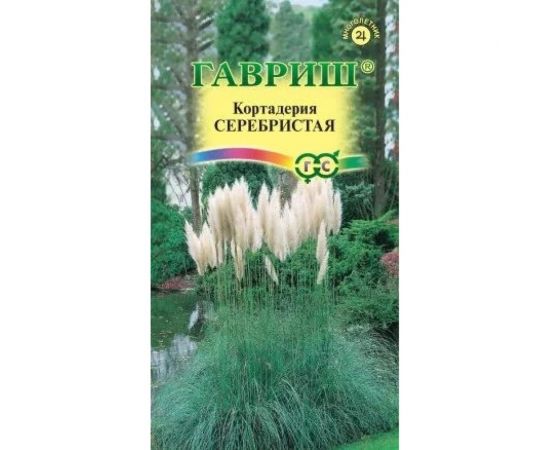 Семена ГАВРИШ Кортадерия Серебристая Пампасная трава 8 шт 1070720 